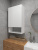 Шкаф навесной для ванной комнаты и туалета MH27-MA 750х450х217 Белый-М 10.1.2